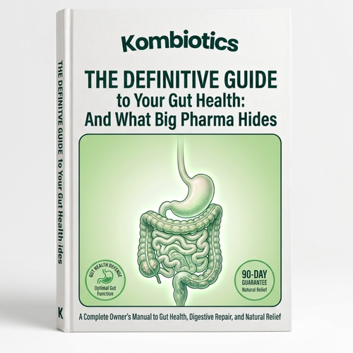Guide To Gut's Health
